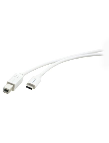 C-USB/CB-6 USB 2.0 USB-C(M) to USB-B(M) Cable, 1.8 m