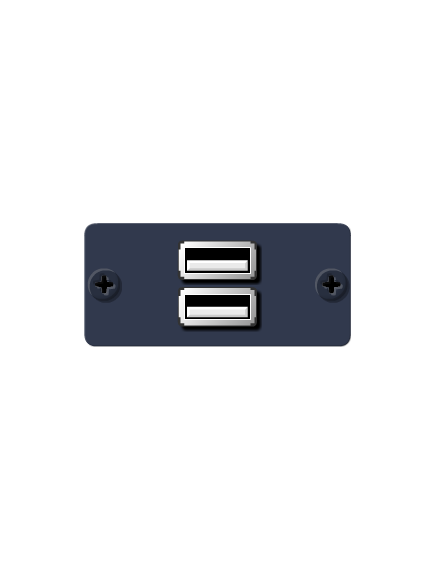 WU-2AA(G) USB Wall Plate Insert, Grey, Double Slot, Colour: Grey