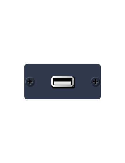 WU-AA(G) USB Wall Plate Insert, Grey, Single Slot, Supports USB 1.0/USB 2.0, Colour: Grey