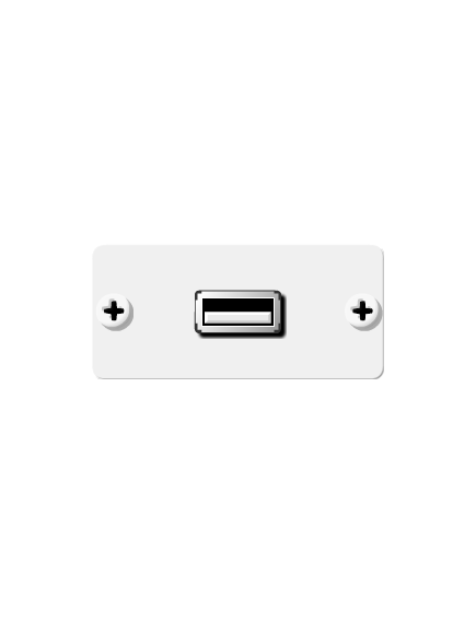 WU-AA(W) USB Wall Plate Insert, White, Single Slot, Supports USB 1.0/USB 2.0, Colour: White