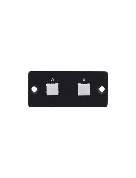 RC-20TB(B) Module-Insert with 2 Buttons and Dry Contact Switch